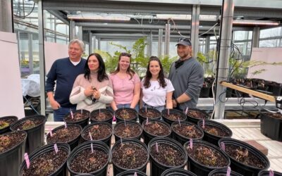 Exciting New Fiddleheads Research with The University of Guelph
