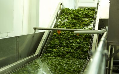 Watch Our Farm to Table Process